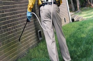 Frankston pest control